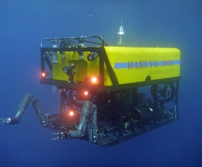 ROV